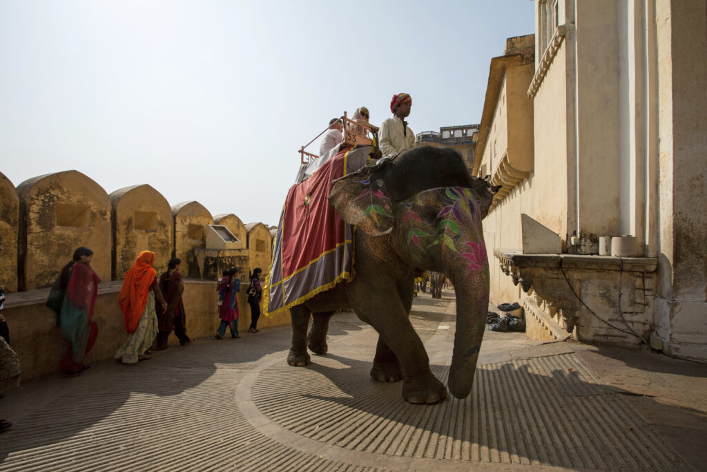 Elephant ride in Jaipur during the 7 Days Golden Triangle Tour with Ranthambore by Namaste Yatra Tours